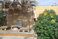 Hostel la posada gallo - Arica